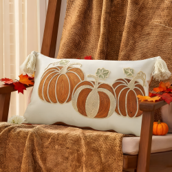 Cushion